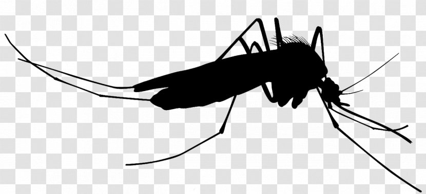 Mosquito Silhouette Clip Art - Line Transparent PNG