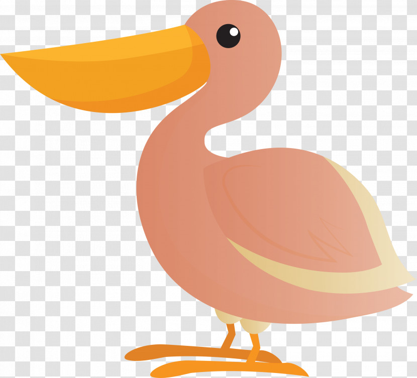 Duck Beak Seabird Orange S.a. Transparent PNG