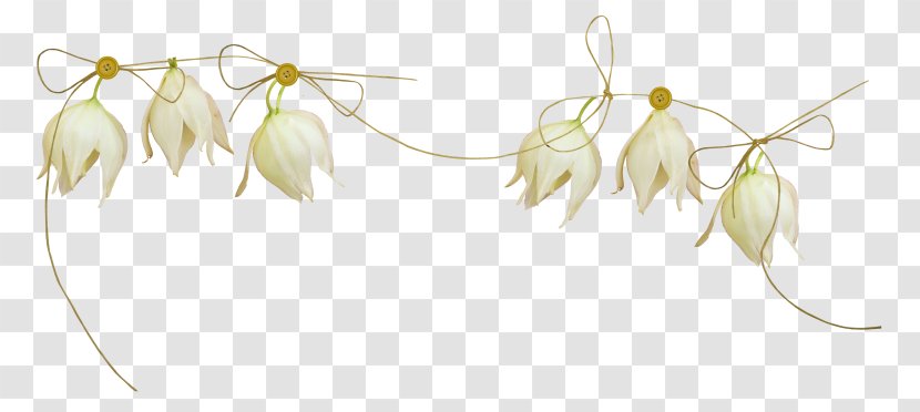 Clip Art Annabelle Design Decorative Arts - Flowering Plant - Lace Memorial Day Asos Cikada Transparent PNG