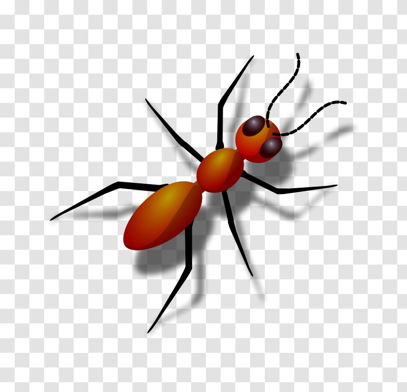 Queen Ant Free Content Clip Art - Black Garden - Honeypot Cliparts Transparent PNG