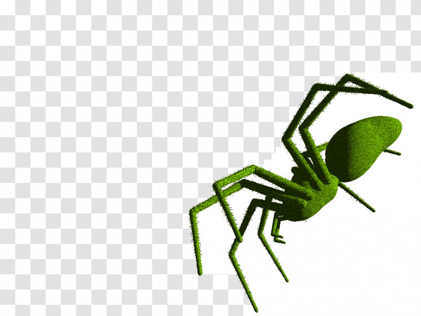 Insect Line Pest Clip Art - Organism Transparent PNG