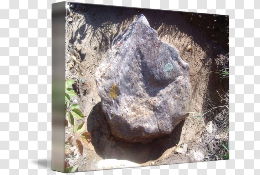 Boulder Rock Puddingstone Imagekind Animal - Stone Top View Transparent PNG