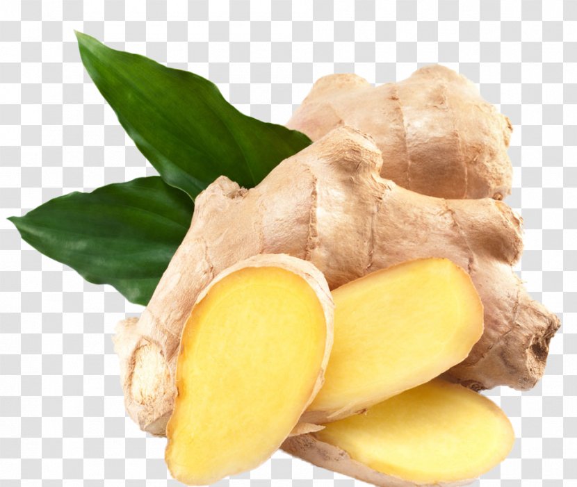 Ginger Seed Vegetable Plant Bonsai - Tuber - Ginger,Ginger Leaves,plant,Seasoning Transparent PNG