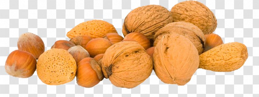 Walnut Health Food Therapy Transparent PNG