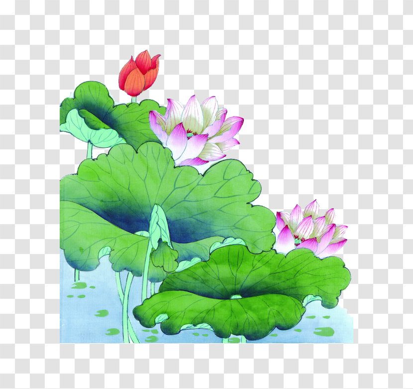 U4e2du56fdu753bu575b Chinese Painting Nelumbo Nucifera Ink Wash Gongbi - Grass - Purple Lotus Green Leaf Transparent PNG