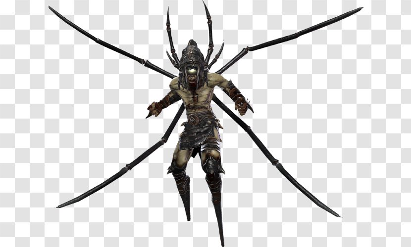 Hunted: The Demon's Forge Wiki - Insect - Creatures Transparent PNG