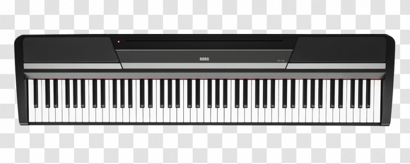 Digital Piano Keyboard Korg SP-280 Musical Instruments - Electric Transparent PNG