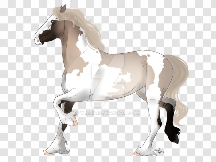 Foal Stallion Mare Colt Pony - Dream Catcher Transparent PNG