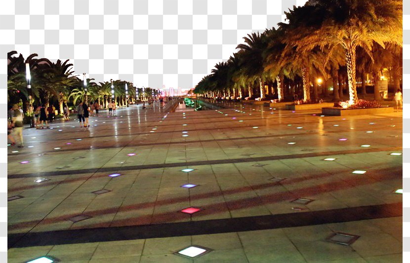 Gulangyu Xiamen Plaza Hotel City Computer File - Reflection - Square Night Transparent PNG