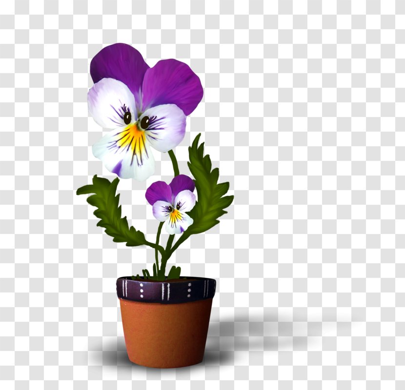 GIF Flower Centerblog Image - Moth Orchid Transparent PNG