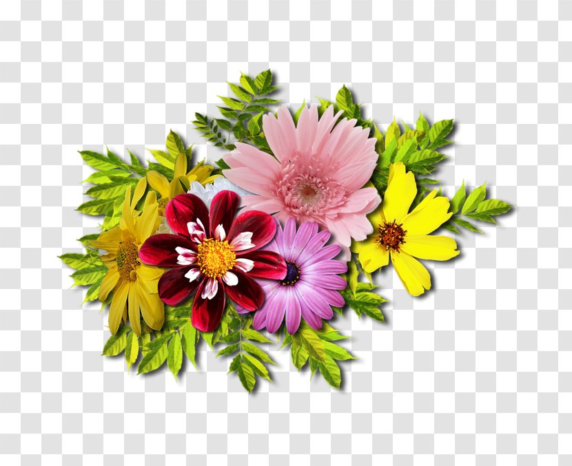 Cut Flowers Floral Design Image Flower Bouquet - Daisy Transparent PNG