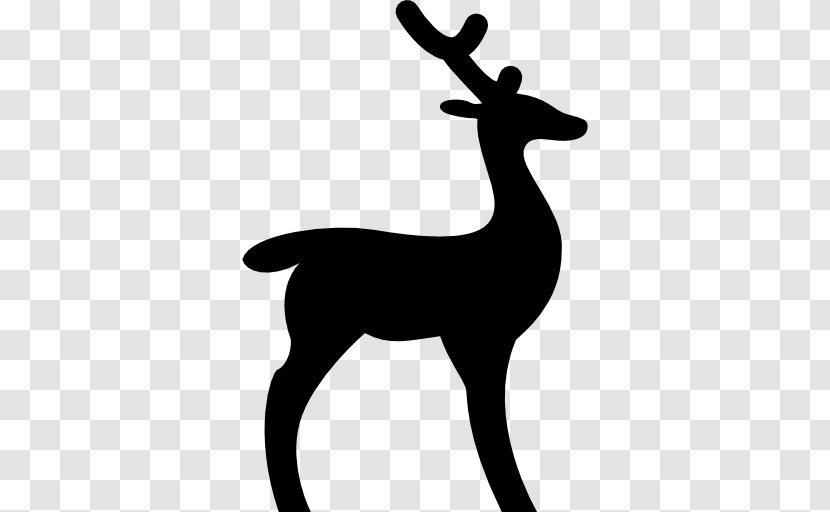 White-tailed Deer Reindeer Hunting - Antler - Animal Silhouettes Transparent PNG