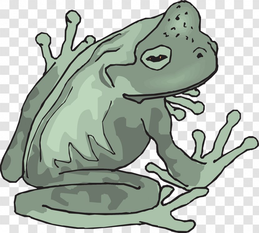 True Frog Amphibian Clip Art - Ranidae Transparent PNG