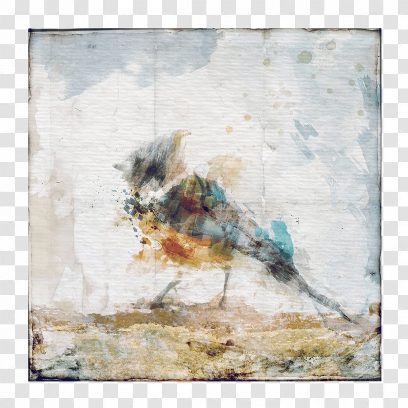Bedside Tables Painting Bird Art - Watercolor Transparent PNG