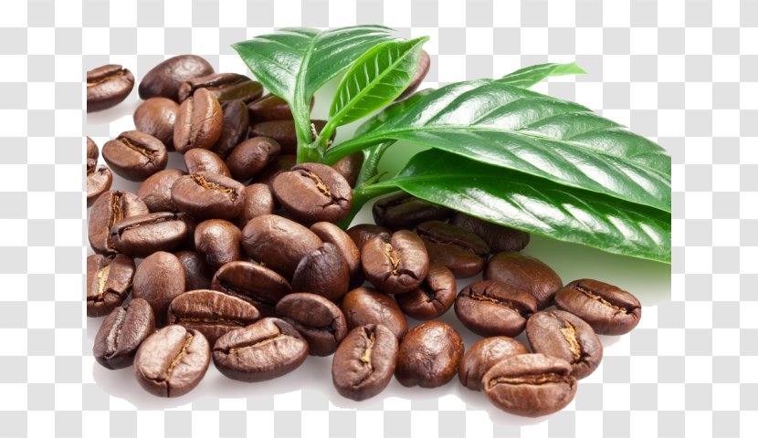 Coffee Cafe Cold Brew Espresso Tea - Legume Transparent PNG