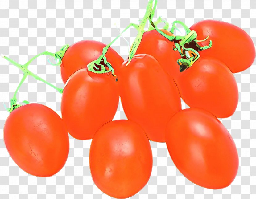 Tomato - Bush Plum Transparent PNG