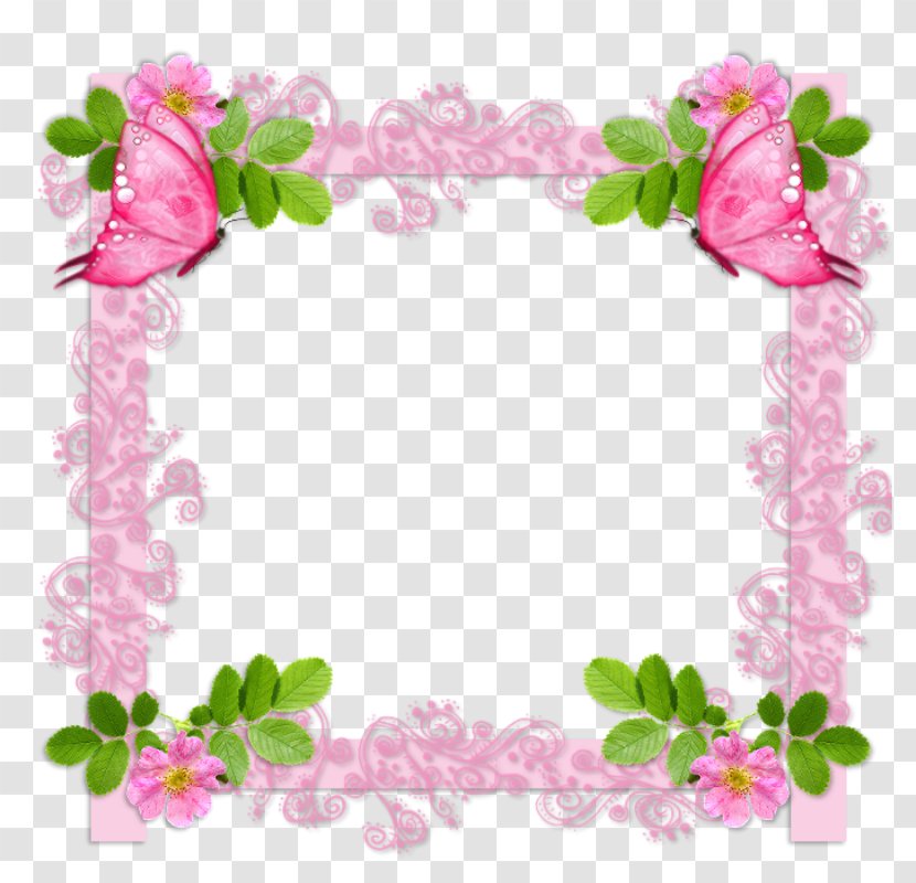 Garden Roses Picture Frames Photography Floral Design - Cut Flowers - Quadros Transparent PNG