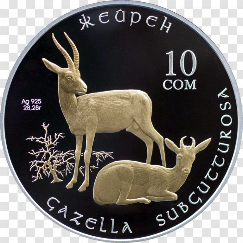 Silver Coin Kyrgyzstan Banknote Kazakhstani Tenge Transparent PNG
