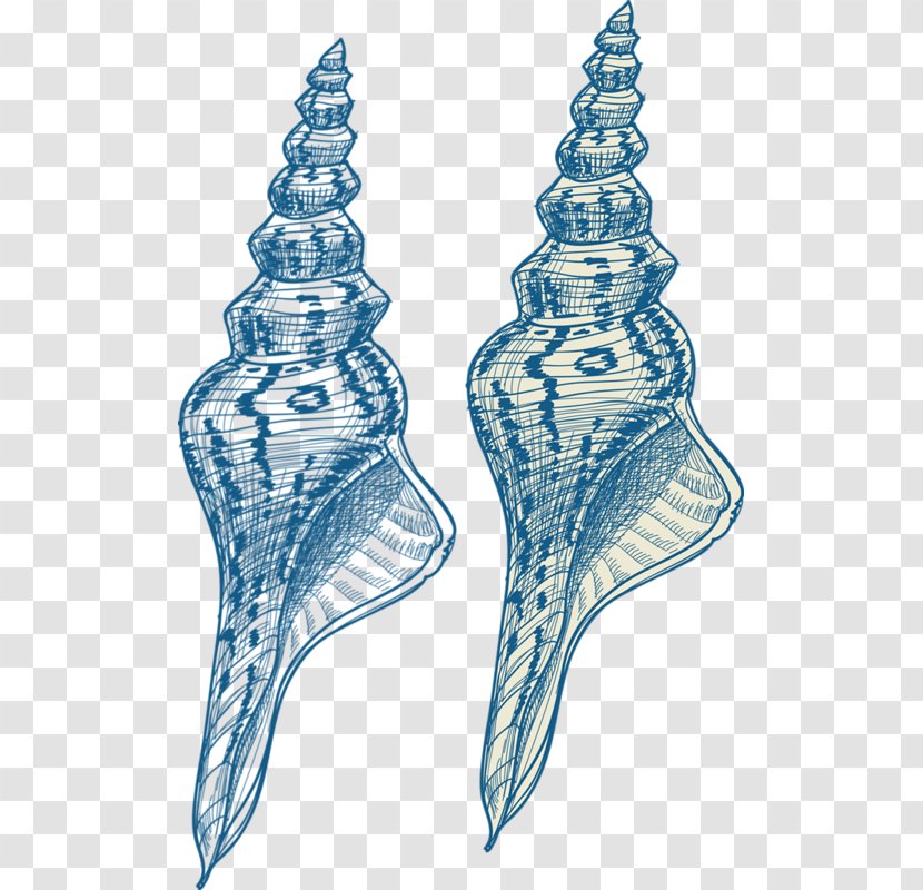 Conch Gratis - Blue Transparent PNG