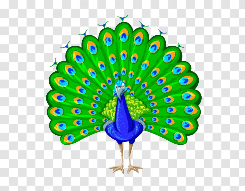 Pavo Clip Art - Tree - Drawing Transparent PNG