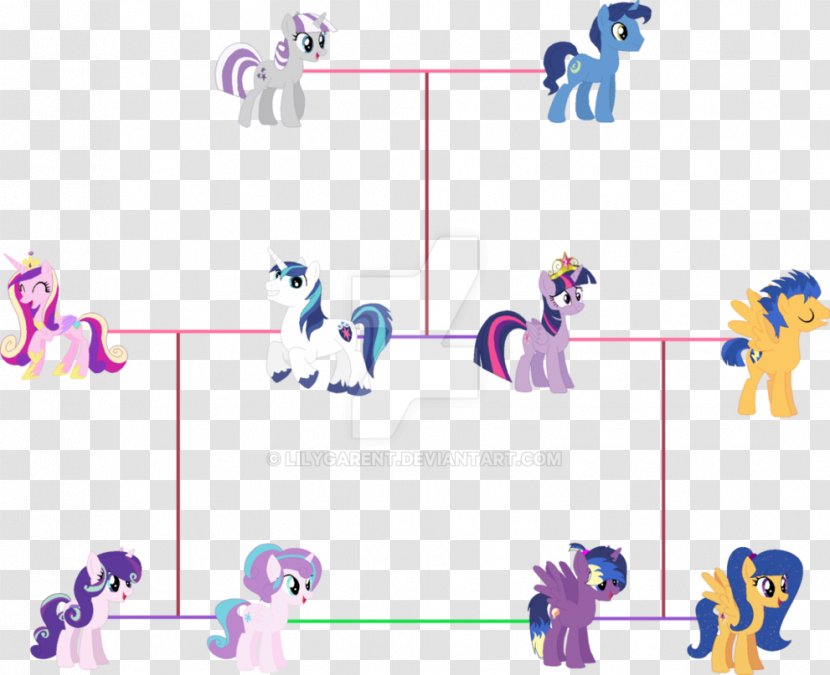 Twilight Sparkle Rainbow Dash Princess Cadance Family My Little Pony - Frame - Members Transparent PNG