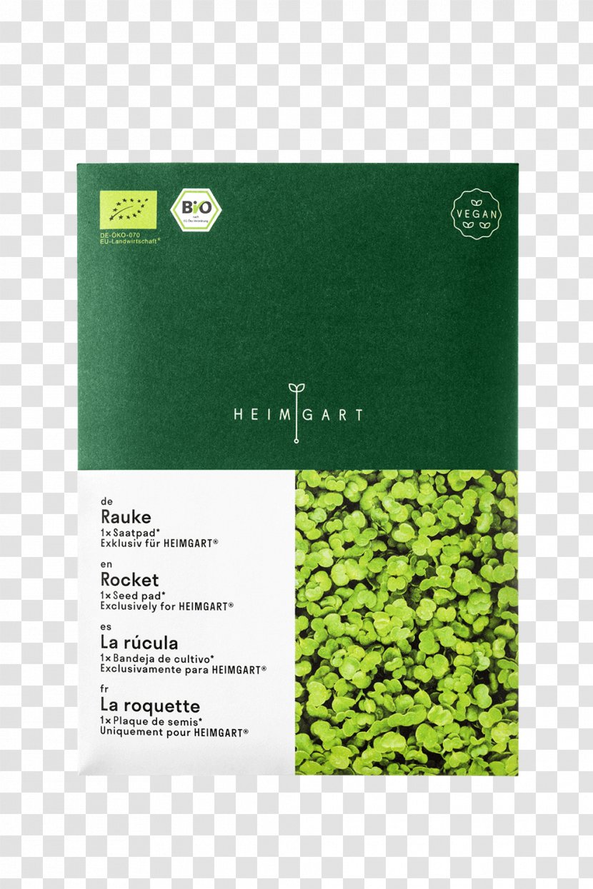 Brand Superfood Font - Green - Microgreens Transparent PNG