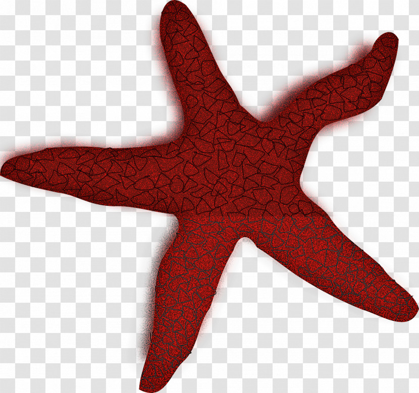 Starfish Red Star Transparent PNG