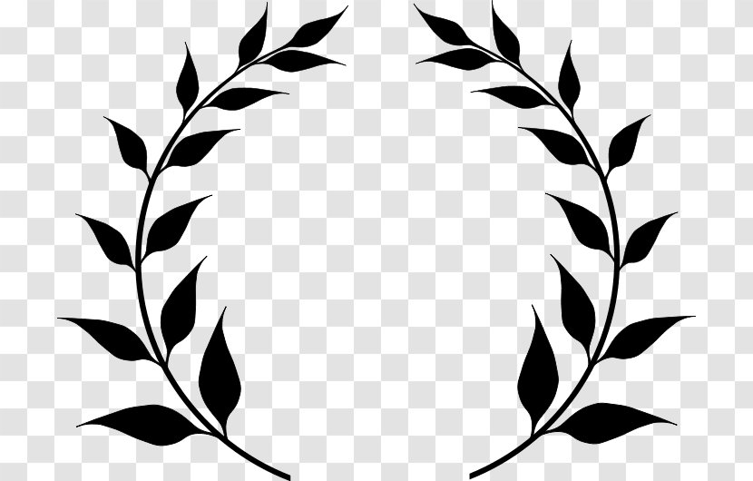 Decorative Borders Clip Art Olive Branch Vector Graphics Openclipart - Tree - Royaltyfree Transparent PNG