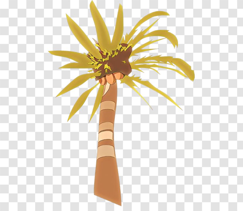Coconut Tree Drawing - Sunflower - Flower Transparent PNG
