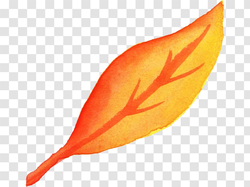 Leaf Watercolor Painting Orange Yellow - Autumn Color - Leaves Transparent PNG