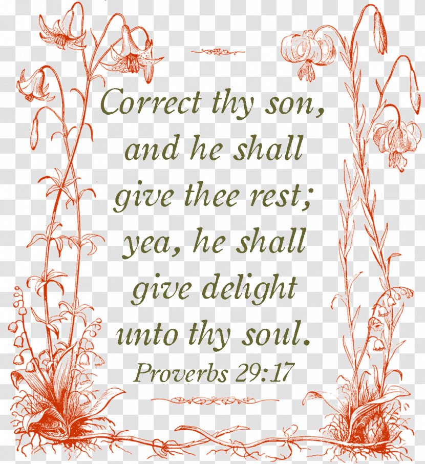 Book Of Proverbs The Holy King James Bible Religious Text God Transparent PNG