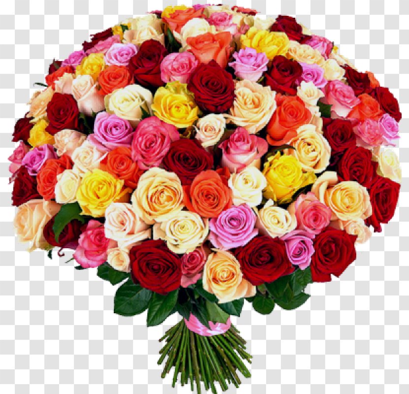 101 Roses Garden Flower Bouquet Rose Life - Pink Transparent PNG