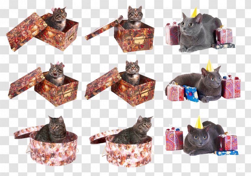 Cat Kitten Clip Art - Cats Transparent PNG