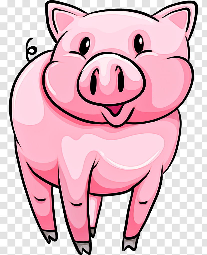 Cartoon Pink Snout Suidae Nose Transparent PNG