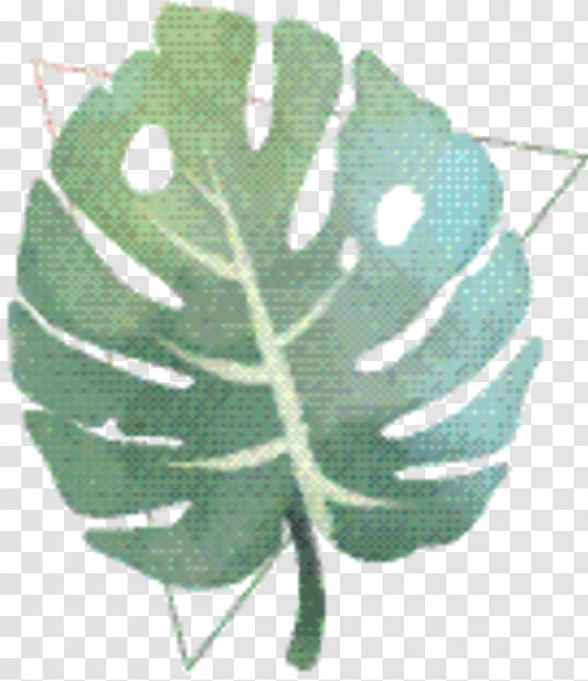 Tree Background - Flower Plant Transparent PNG