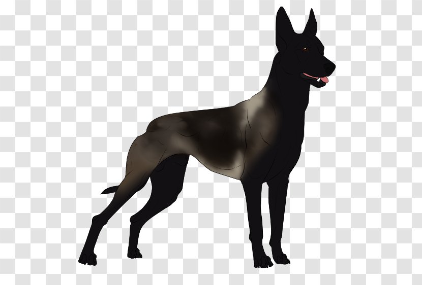 Great Dane Dog Breed Non-sporting Group Guard (dog) - Malinois Transparent PNG