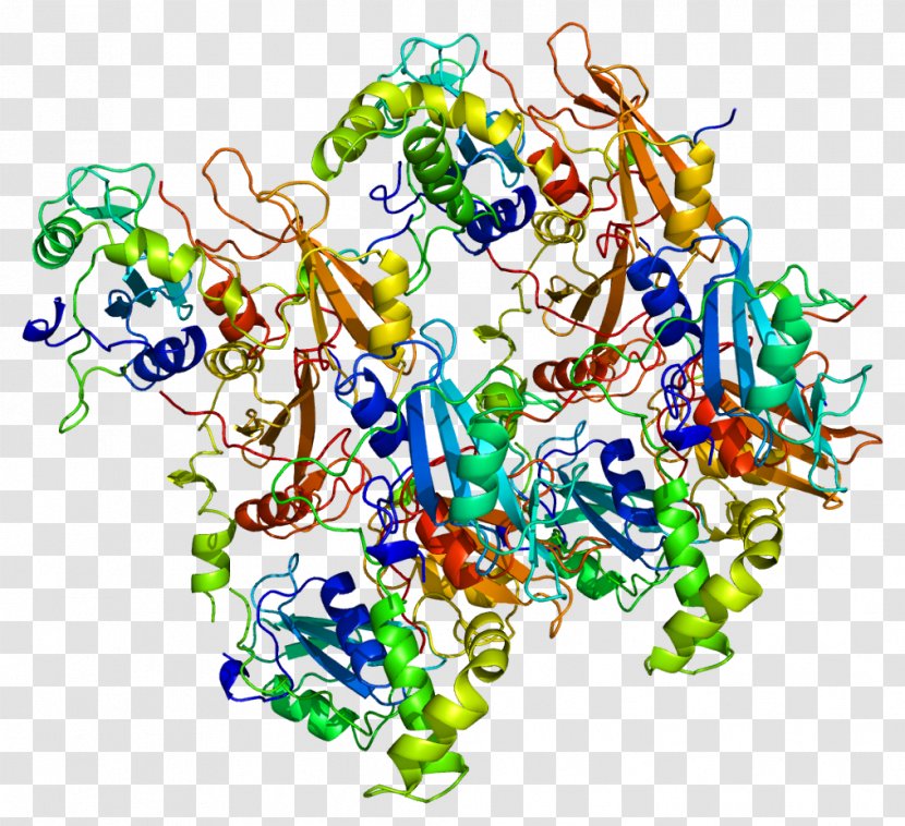 Syk Tyrosine Kinase Protein - Cartoon - Watercolor Transparent PNG
