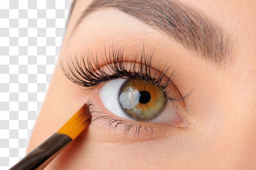 Eyebrow Cosmetics Beauty Eyelash - Eye Closeup Transparent PNG