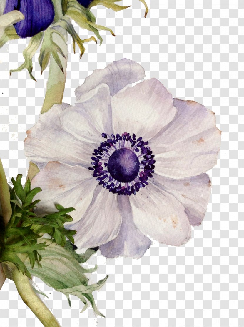 Floral Design Flower Painting - Floristry - Vintage Painted Flowers Transparent PNG