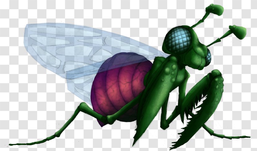 Clip Art Illustration Insect Wing Pollinator - Pest - Metroid Fusion Map Transparent PNG