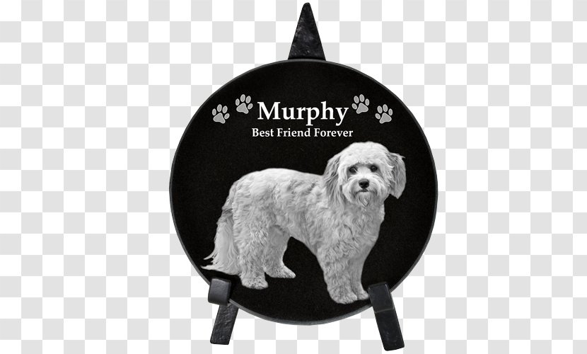 Schnoodle Cockapoo Commemorative Plaque Dog Breed Memorial - Christmas Ornament - Urn Transparent PNG