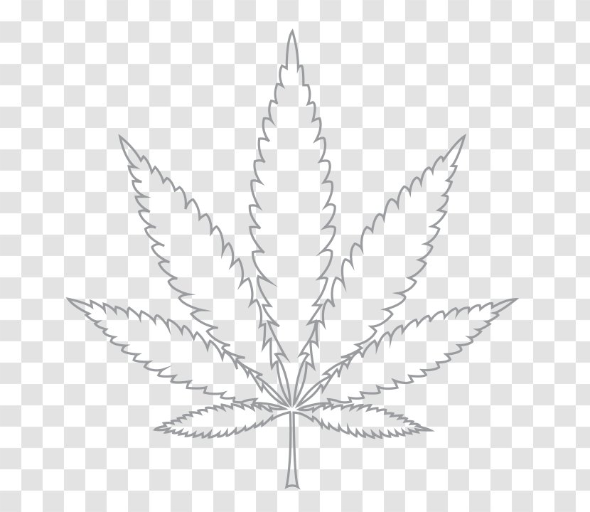 Cannabis Hash, Marihuana & Hemp Museum Leaf White Widow - Black And Transparent PNG