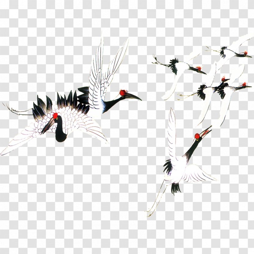Red-crowned Crane Bird - Redcrowned Transparent PNG