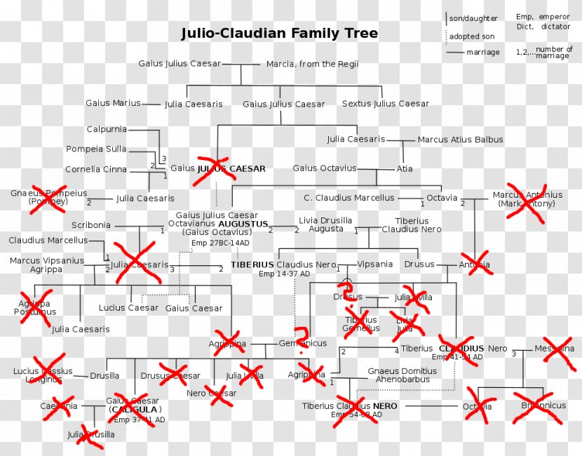 Line Albero Genealogico Giulio-claudio Point Angle - Julioclaudian Dynasty Transparent PNG