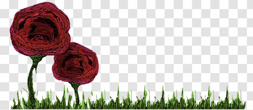 Garden Roses Flower Floral Design .es - Mind - SDAY Transparent PNG
