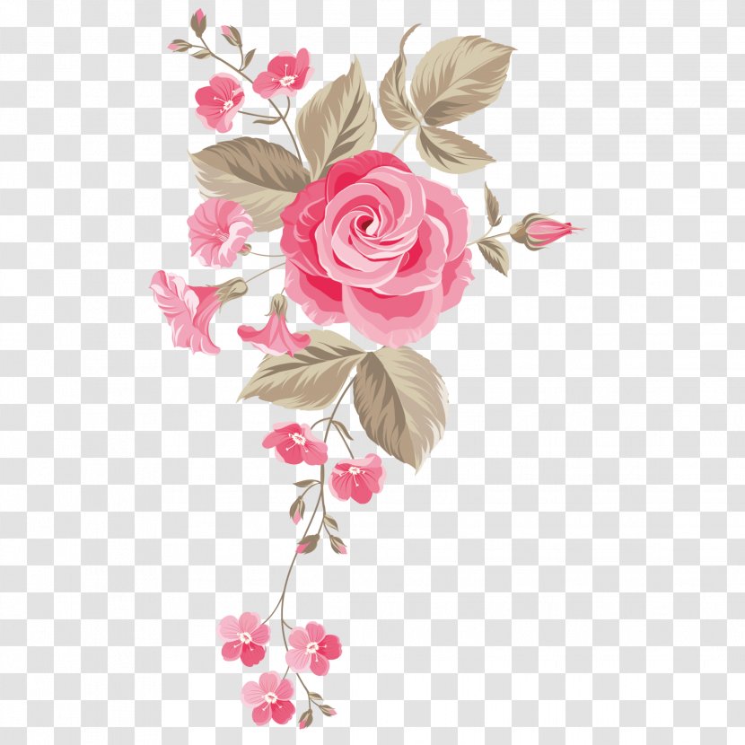 Garden Roses Vector Graphics Floral Design Flower - Floristry Transparent PNG