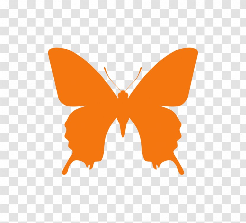 Butterfly The Little Guide To Butterflies - Insect - Red Transparent PNG