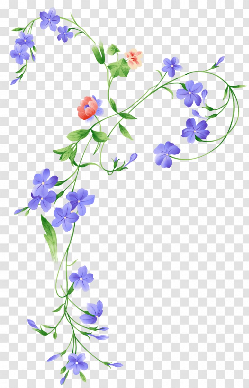 Flower Floral Design Image - Flowering Plant - Bloom Transparent PNG