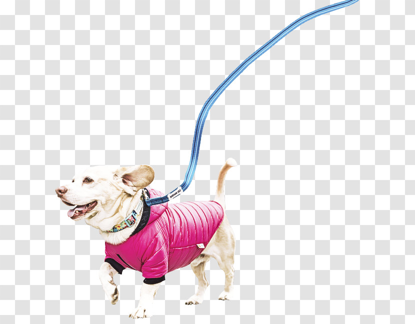 Dog Leash Pink Animal Figure Toy Transparent PNG