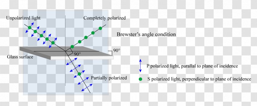 Polarized Light Plane Of Incidence Brewster's Angle - Lens Transparent PNG